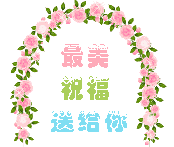 鲜花21