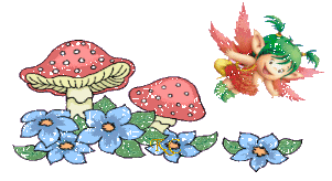 鲜花23