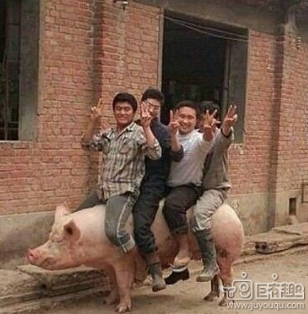 哦，这样的男同学，该拿什么来拯救你？